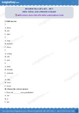 Đề thi giữa kì 1 Tiếng Anh 4 Phoncis Smart - Đề số 5